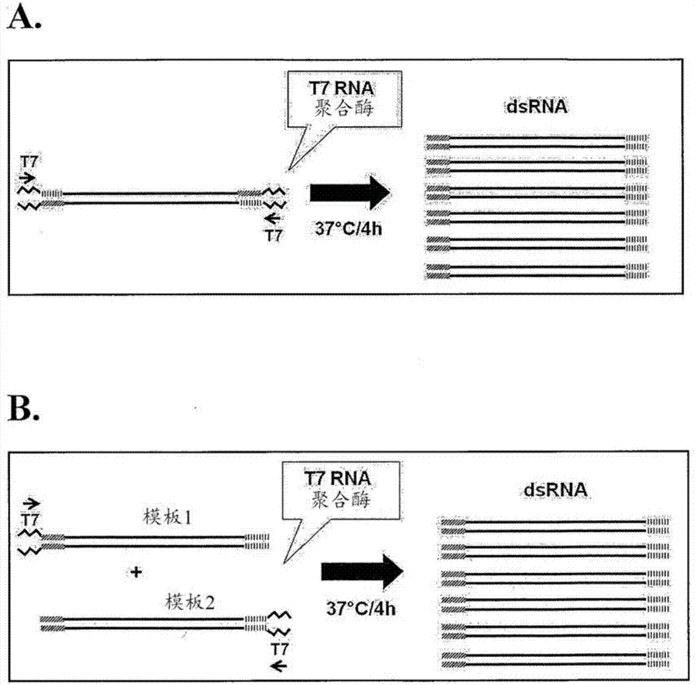 Android视频播放利器 MX Player Pro 中文版本1.15.4:必一(图1) Bsports必一体育