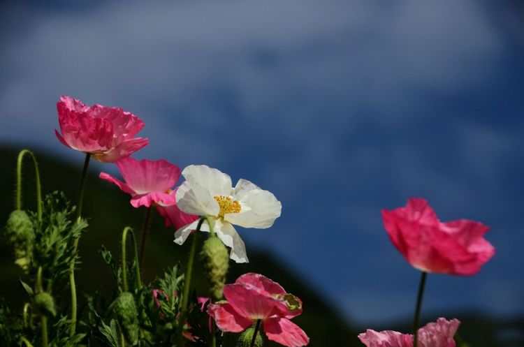 未来13天 忖量浓浓 旧情沸腾 前任变真爱的4大星座“Bsports必一体育”(图2)
未来13天 忖量浓浓 旧情沸腾 前任变真爱的4大星座“Bsports必一体育”(图2)