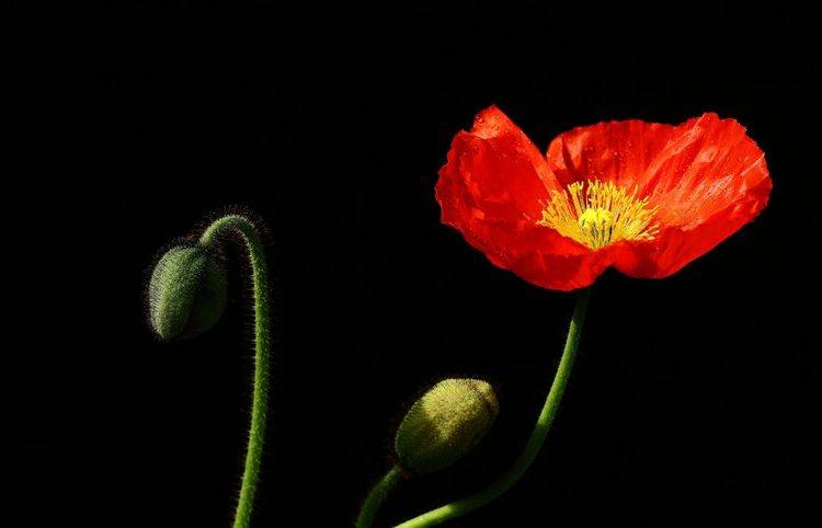 未来13天 忖量浓浓 旧情沸腾 前任变真爱的4大星座“Bsports必一体育”(图3)
未来13天 忖量浓浓 旧情沸腾 前任变真爱的4大星座“Bsports必一体育”(图3)