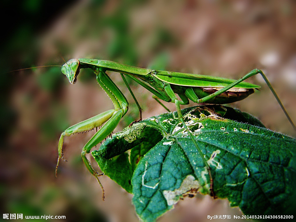 “b体育”大学生物科学专业简析,学长学姐现身说法告诉你(图2) b体育