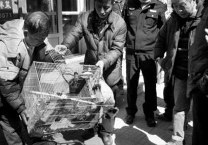 Bsports必一体育|手机QQ 7.3.5发布 语音口令红包来了(图1) b体育