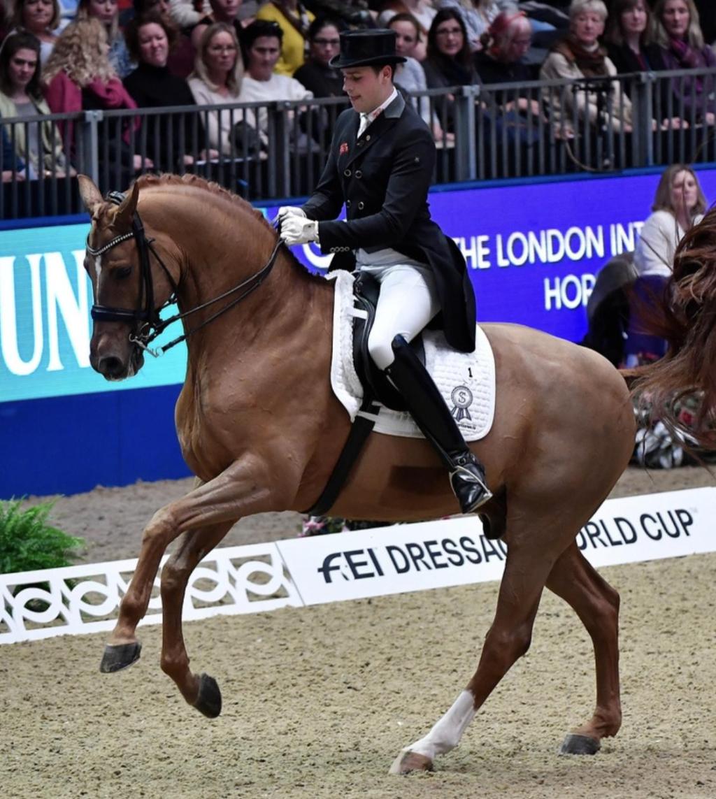 西安城市绿化条例征求意见应突出古城特色风貌|Bsports必一体育(图1) Bsports必一体育