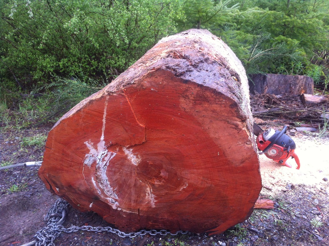 亚洲青年文明对话论坛开幕 46国青年精英汇聚成都“Bsports必一体育”(图3) b体育