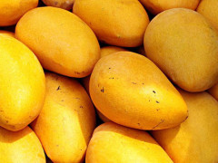 必一:程序员自制微信“跳一跳”游戏外挂(图1) b体育