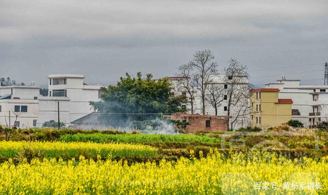 b体育_海内上市公司500强:浙江48个,广东90个,其它省份呢?(图4) b体育