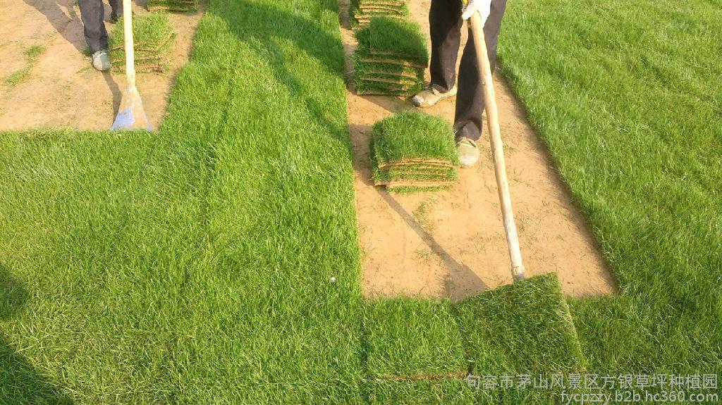 高考英语单词分类影象:Bsports必一体育(图2) 必一