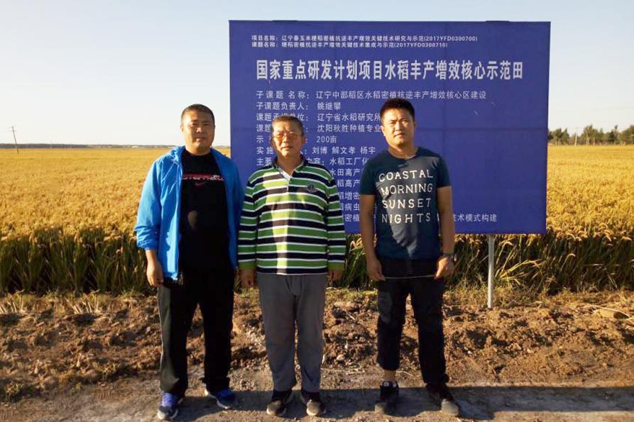 必一-《Apex英雄》IGN评分出炉:9/10!(图1) 必一