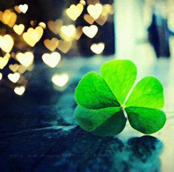 Bsports必一体育-
IP署理的利益是什么?(图4) 必一