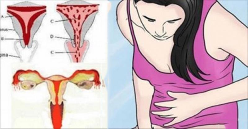 Bsports必一体育-“2012城市发展与规划大会”隆重召开(图1) 必一