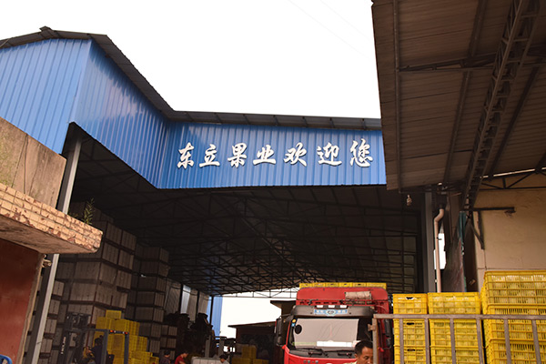 必一_UiBot Store平台即将上线: 以需求为驱动、赋能开发者,构建RPA全景生态(图4) Bsports必一体育