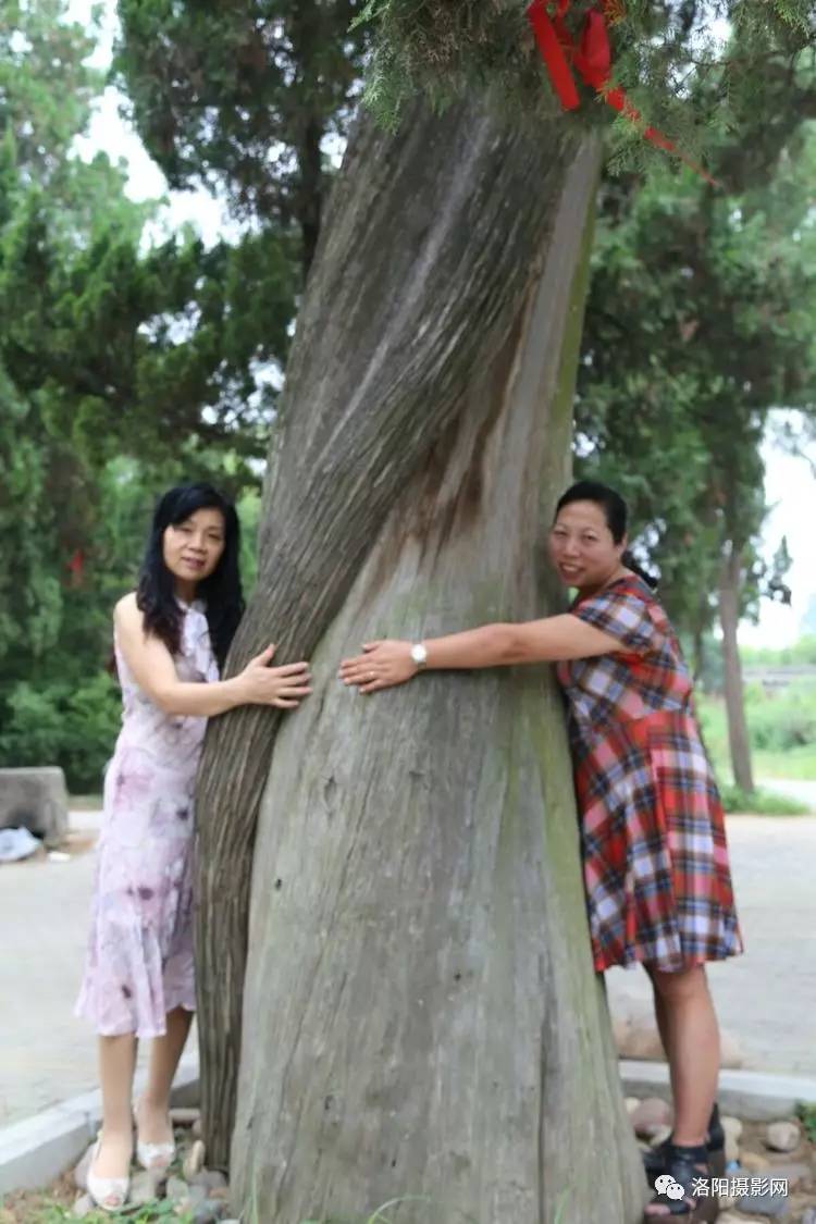 Win10下载速度慢有救了!5倍速、可续传|b体育(图1) Bsports必一体育