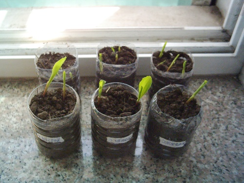 Bsports必一体育-特讯:大火无情人有情,国盾互联惠民生(图2) Bsports必一体育