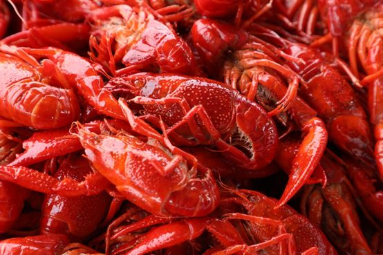 美国交互式游乐场竞赛获奖项目”Plant-a-BALL”公园-Bsports必一体育(图1) Bsports必一体育