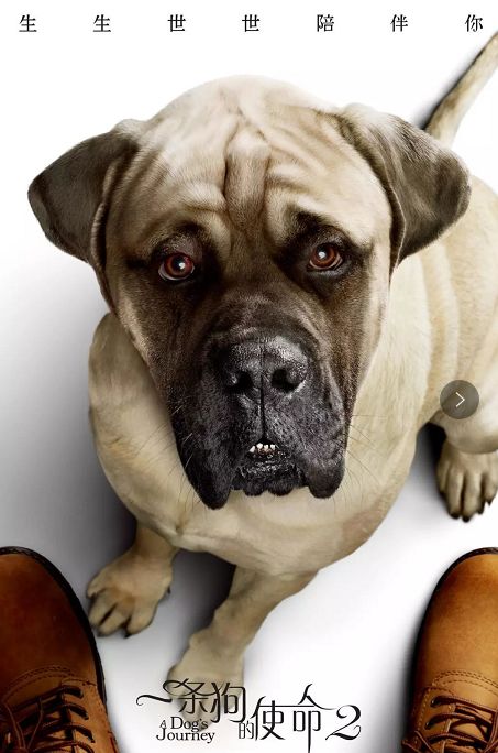 玩自媒体五年我的真实收入是几多?|Bsports必一体育(图1) 必一